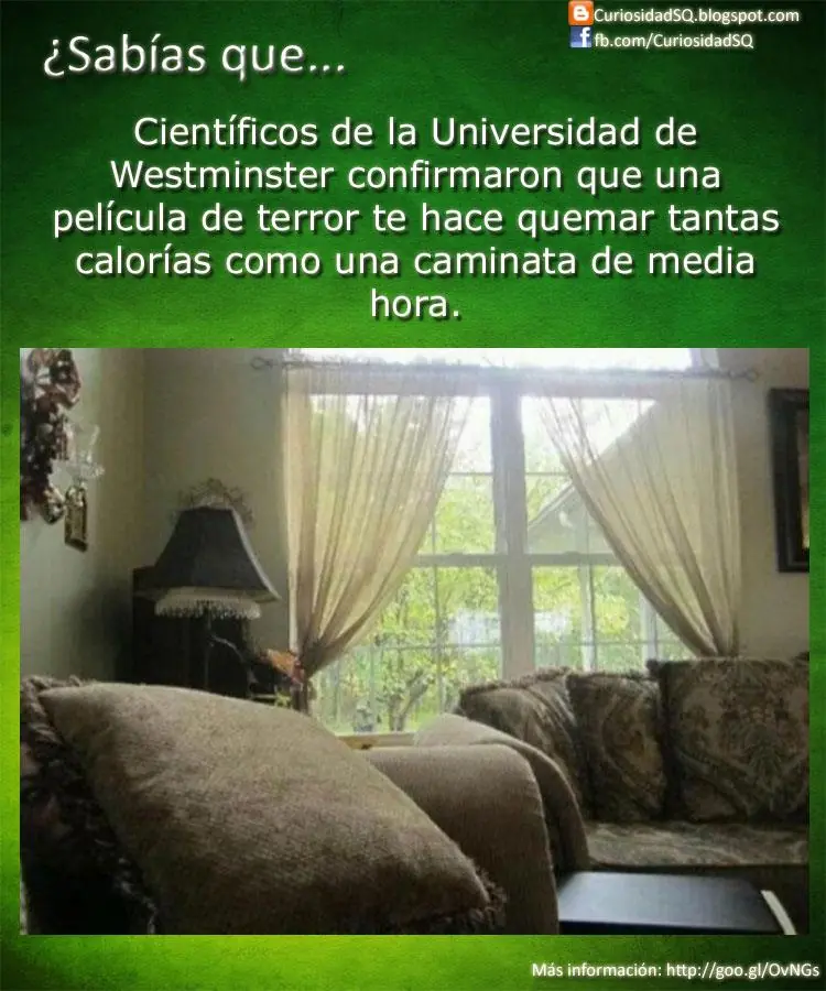 ¿Sabías que? [Parte 4]