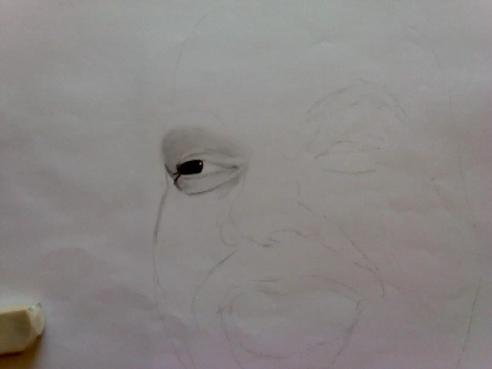 retrato