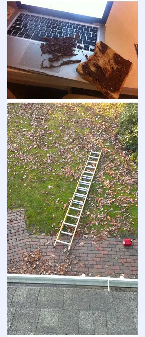 humor