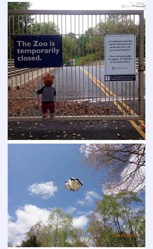fails