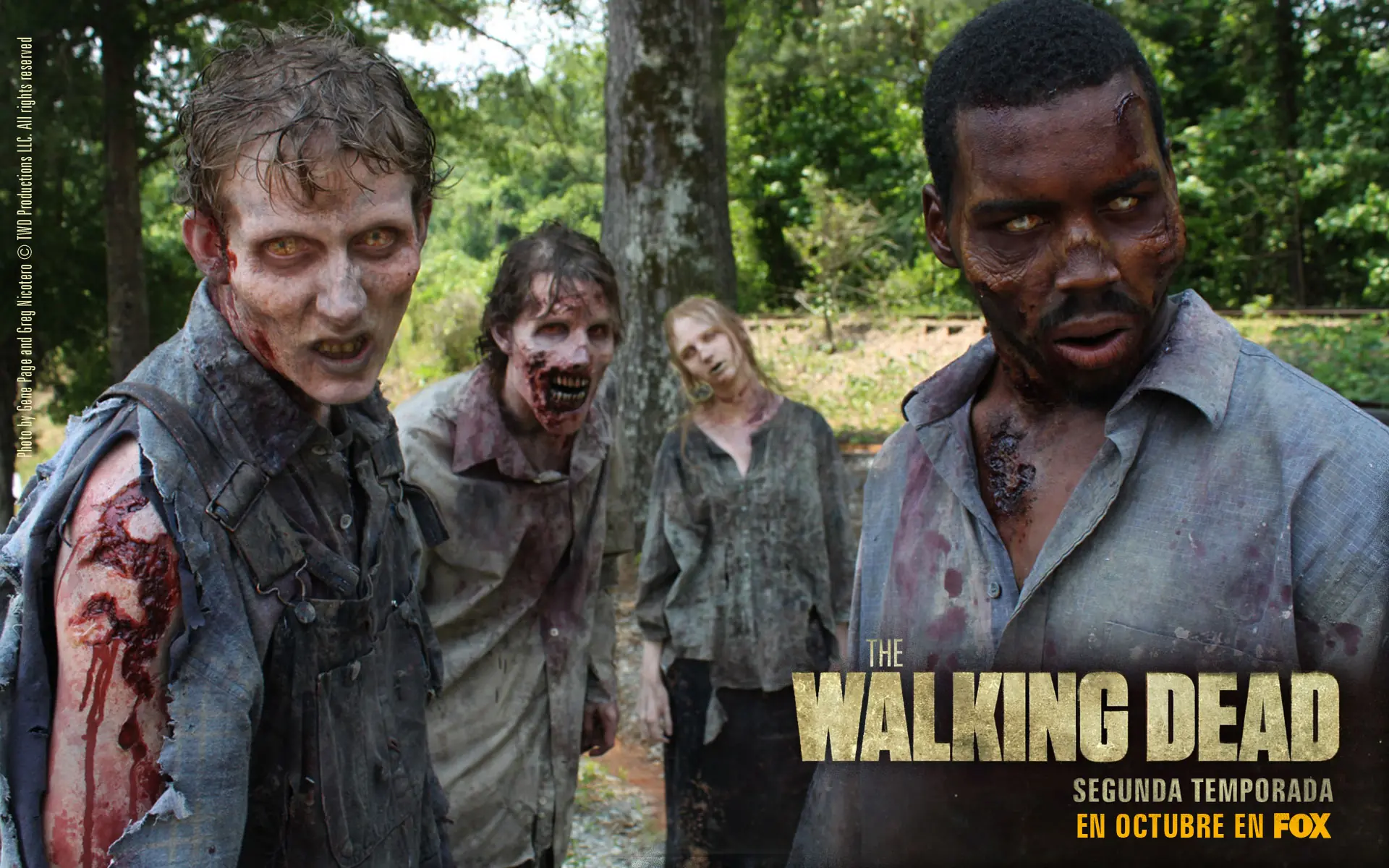 The Walking Dead