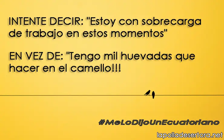 Me lo dijo un ecuatoriano