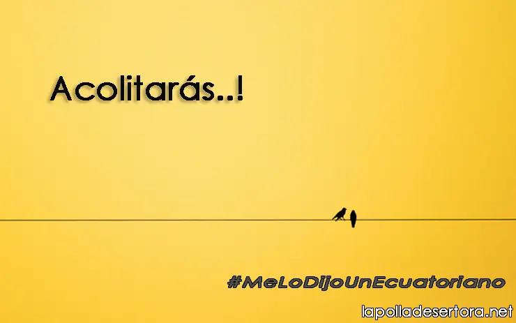 Me lo dijo un ecuatoriano