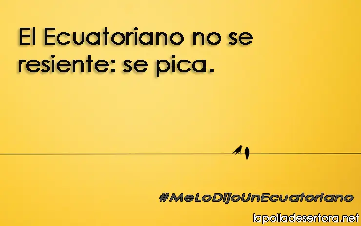 Me lo dijo un ecuatoriano