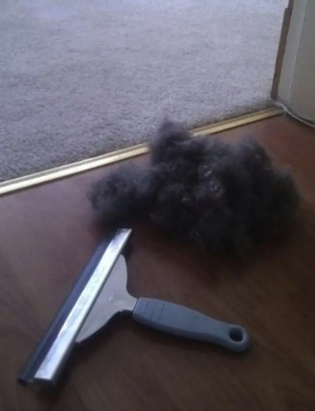 Hacks útiles si tenés Perro!