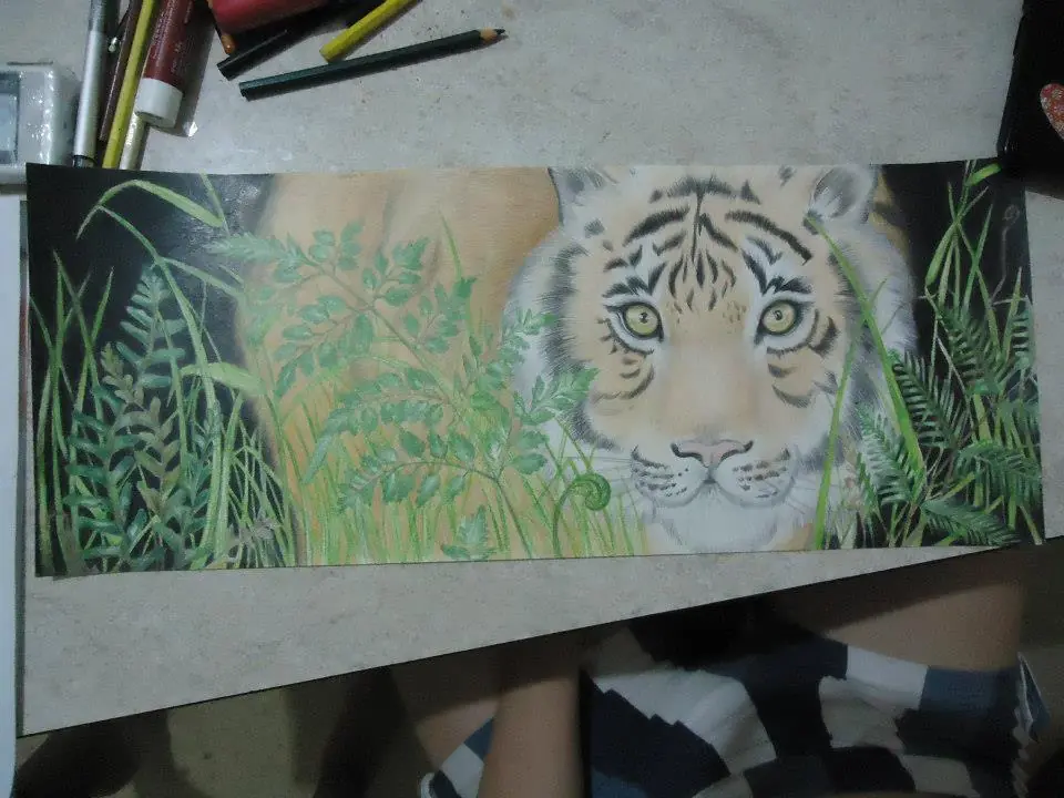 tigre