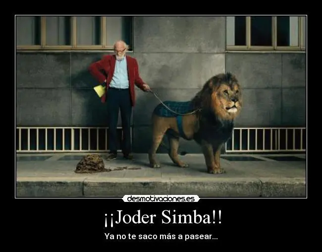 humor