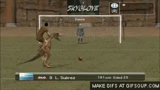 Gifs