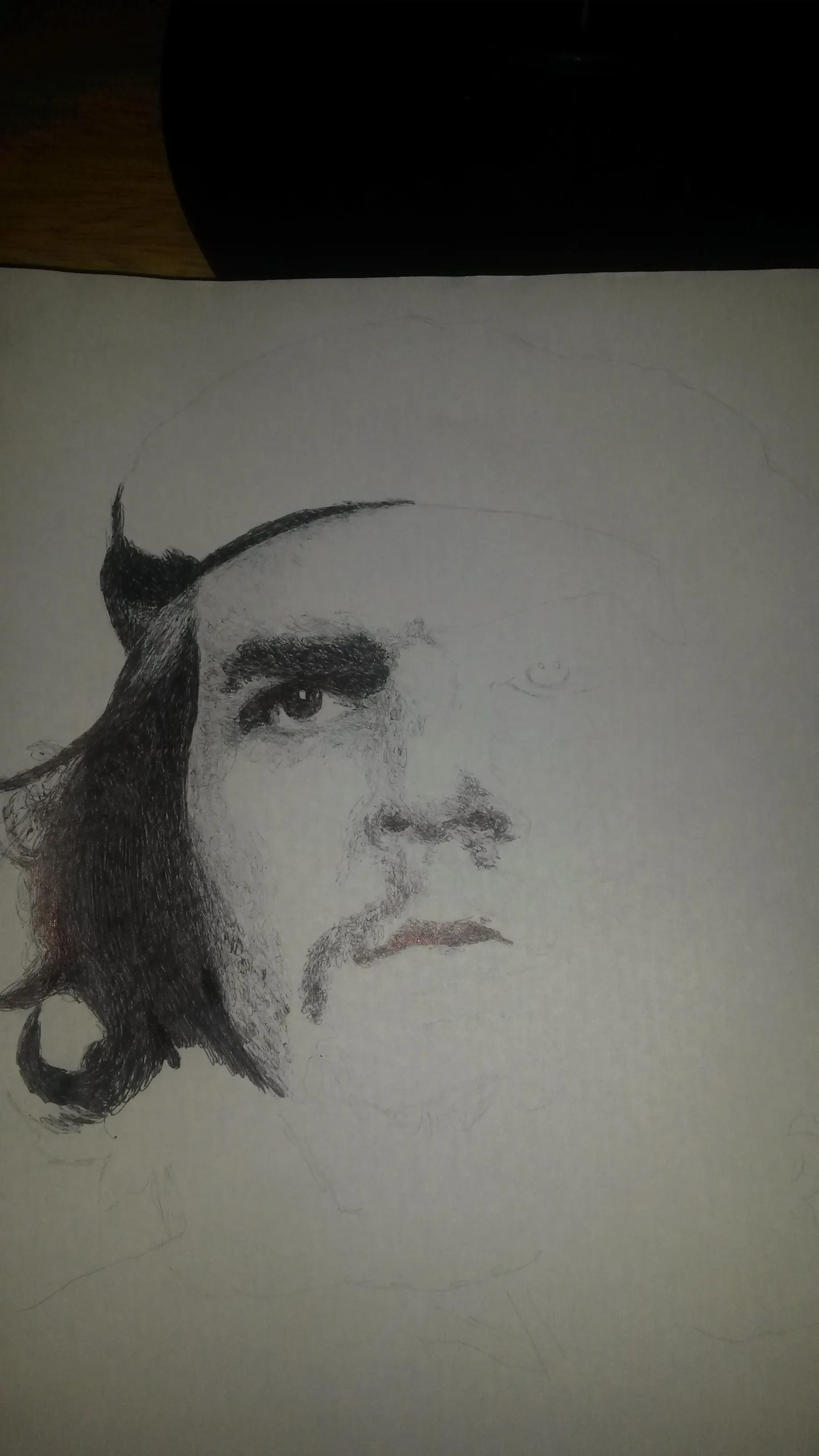 Retrato de Ernesto Che Guevara lapicera