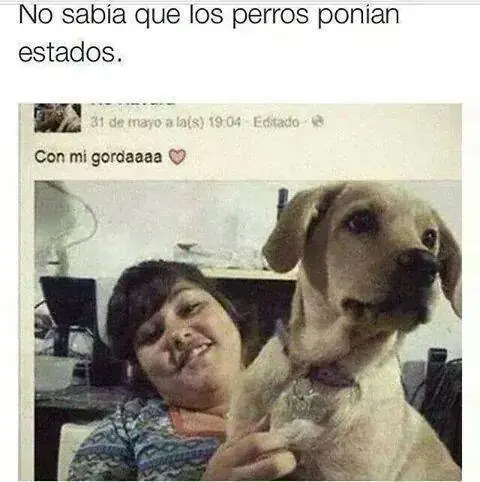 humor