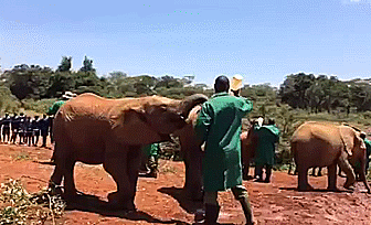 GIFs varios #4