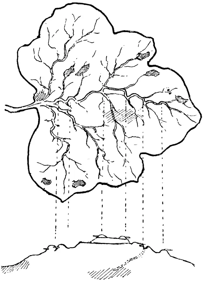 espias