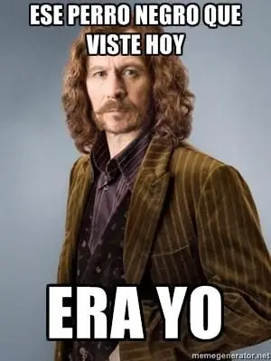 Potter
