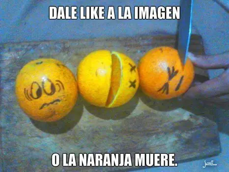 frases