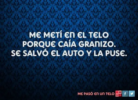 Sexo
