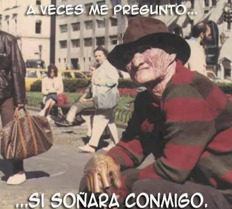 hormiga