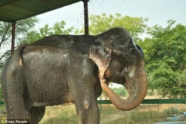 India