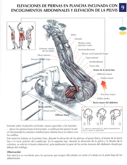 Como tener Abdominales Perfectos