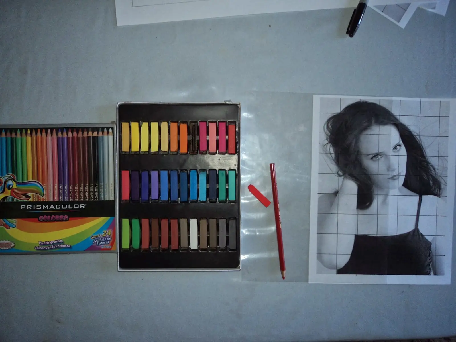 Retrato de Simone Simons en tecnica sangina