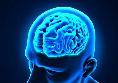 ¿Cómo afecta el sedentarismo al cerebro?