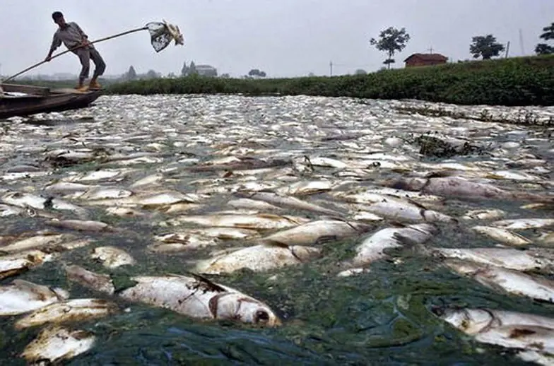 Los rios y riachuelos mas contaminados del mundo