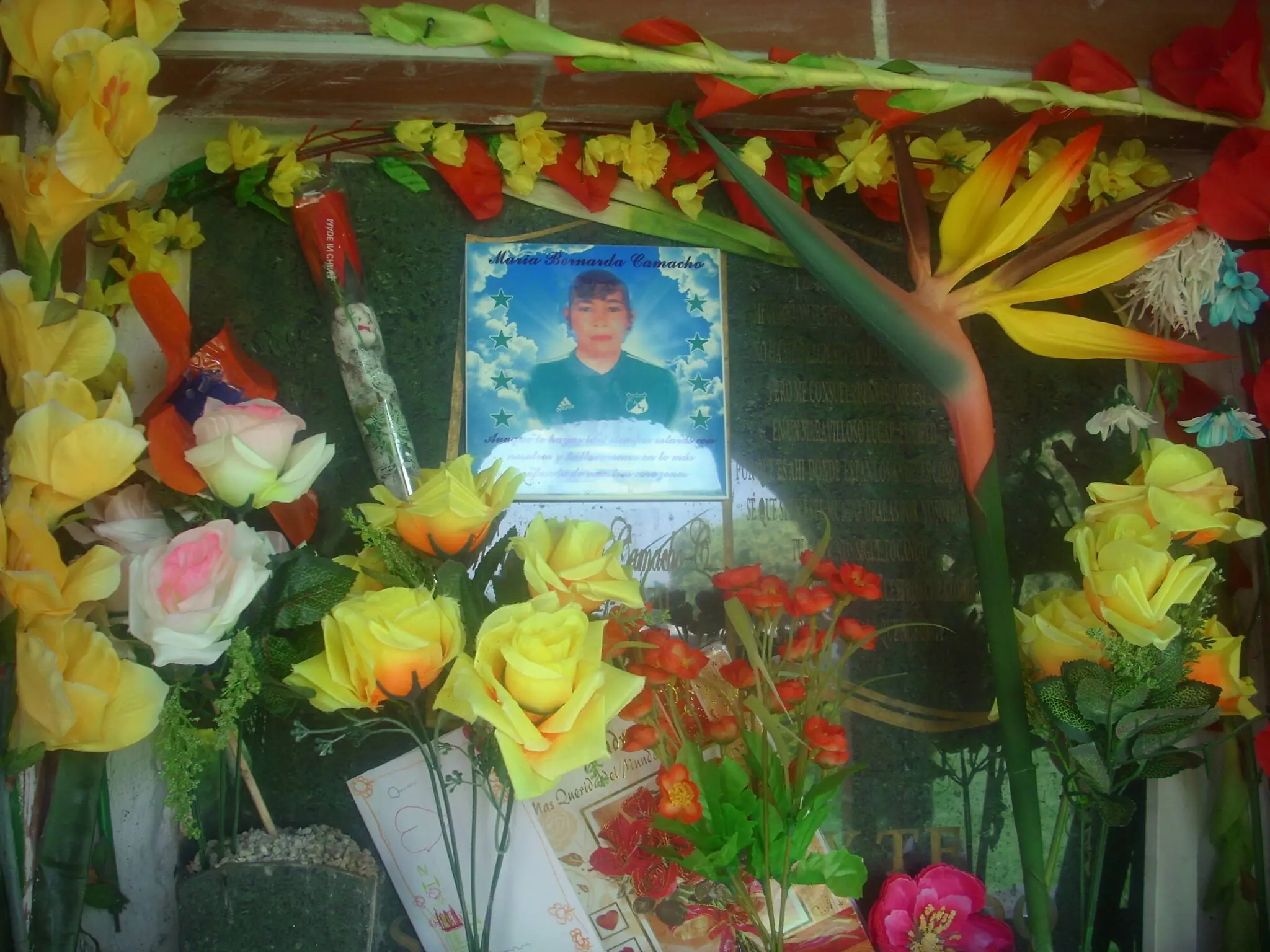 R.I.P MAMÁ (3 de febrero de 2013)