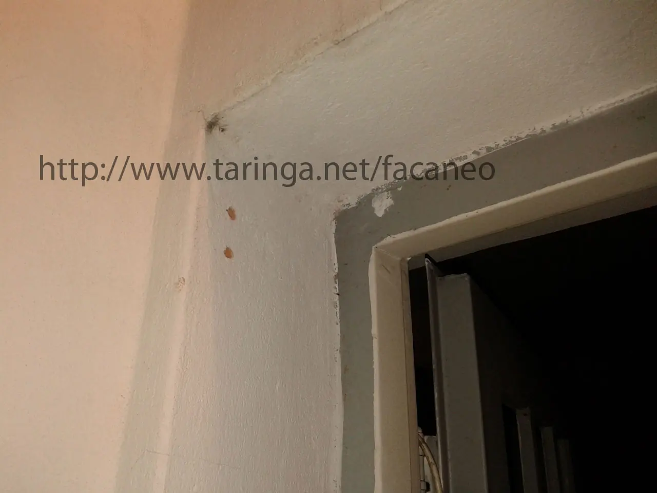 ejercicios para hacer en casa