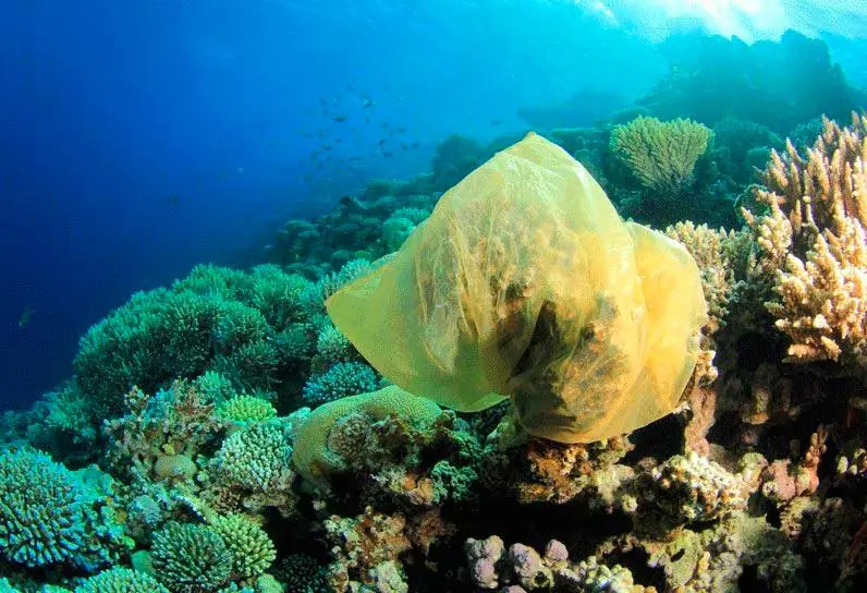 contaminacion del agua