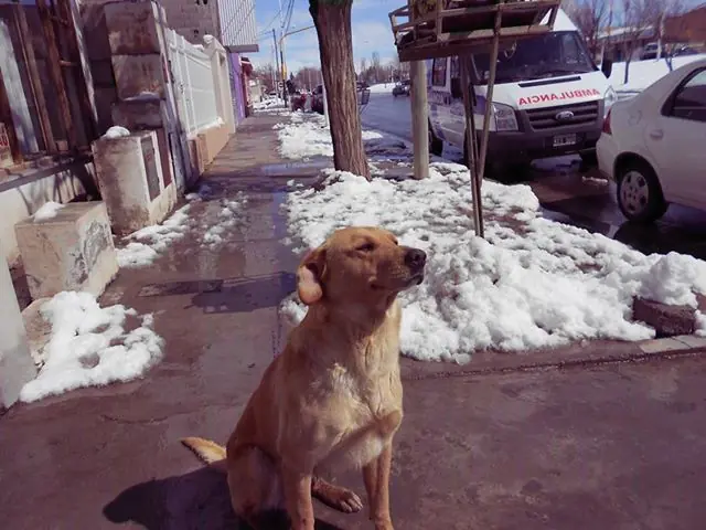 Jardinería Low Cost