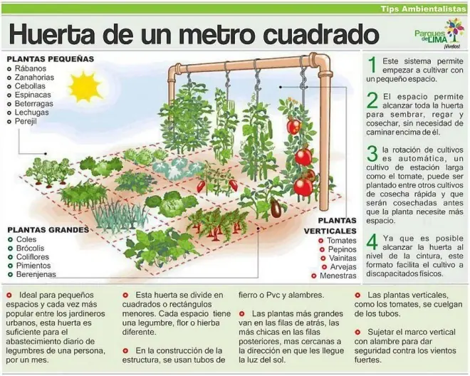 huerta en casa
