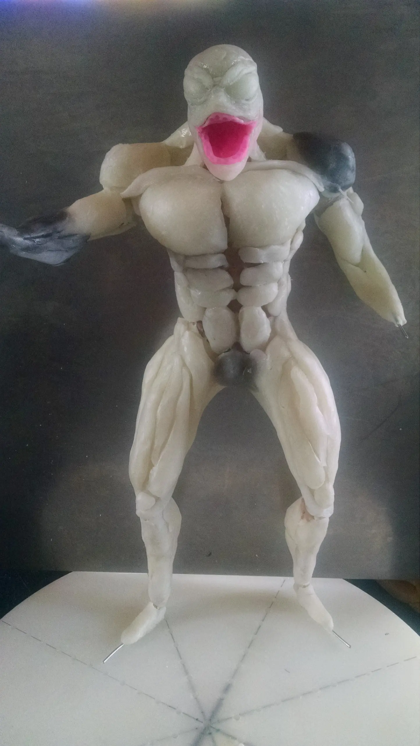 porcelana fria