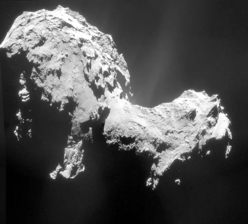 rosetta