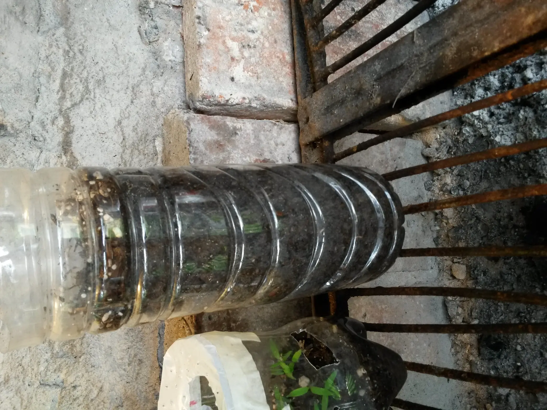 huerta familiar