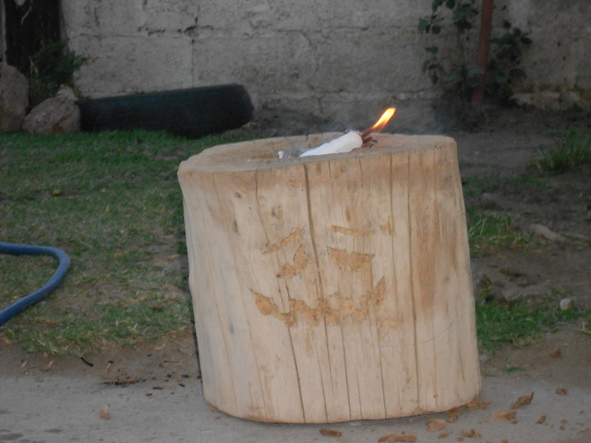 Jardinería Low Cost