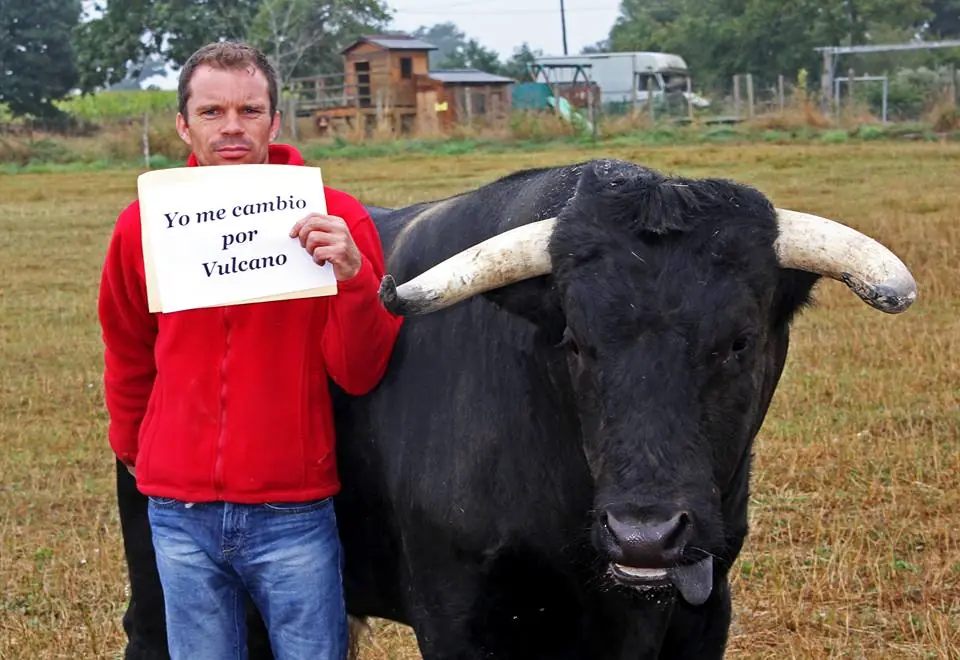 tauromaquia