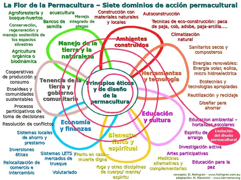 principios