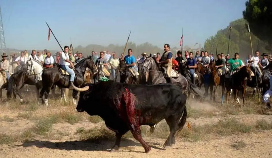 tortura