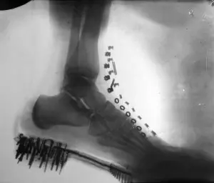 Grandes Inventos de la Historia #2. [Inteligencia Colectiva]