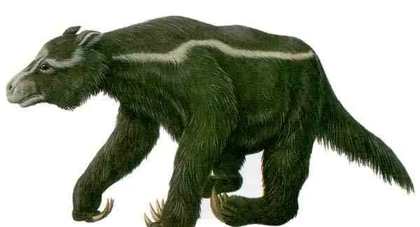 peresozo