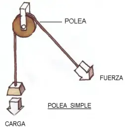 importantes