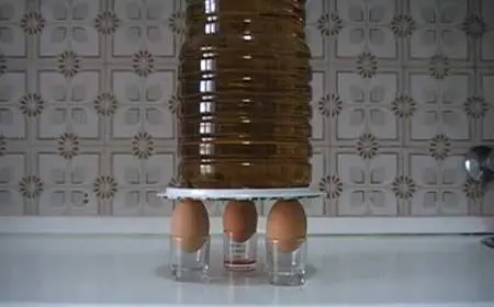 Experimentos Caseros(Faciles)