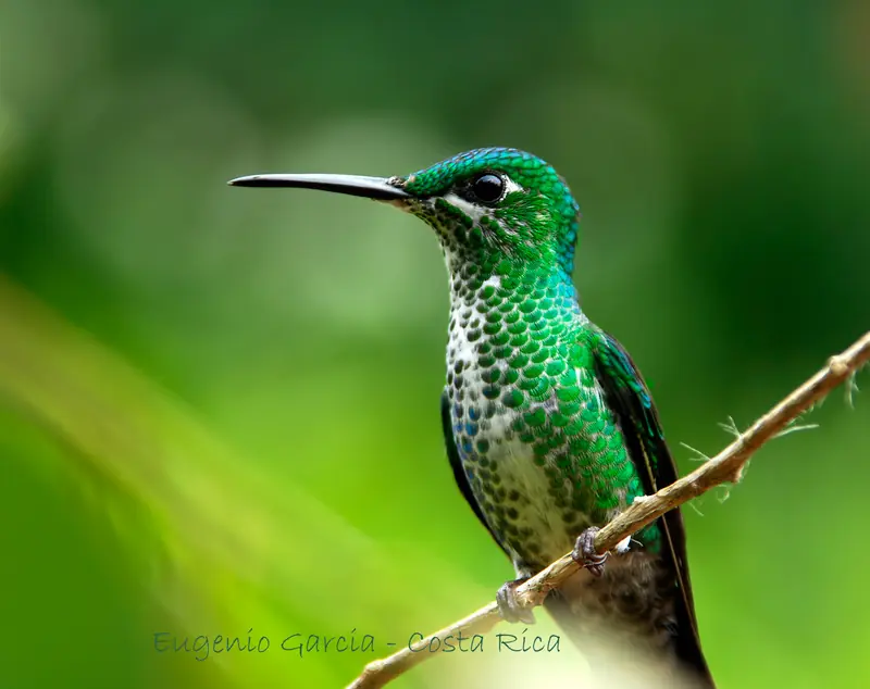 Los datos más interesantes...