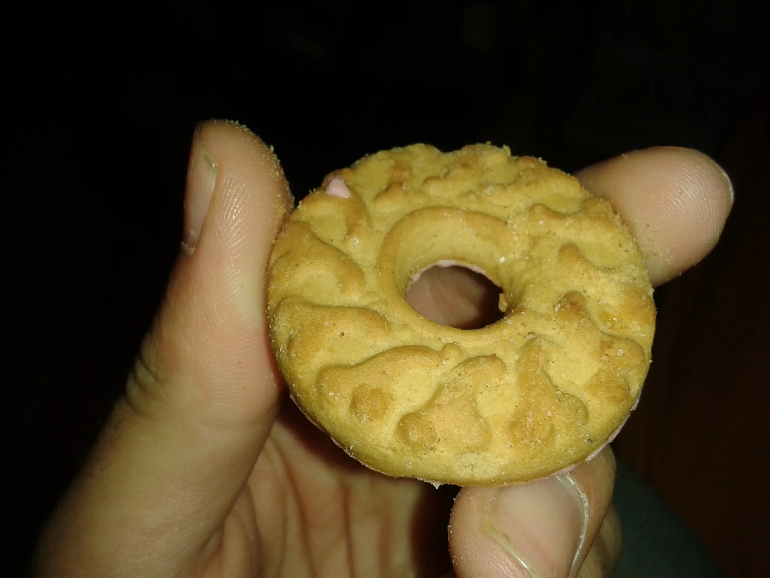 terrabusi