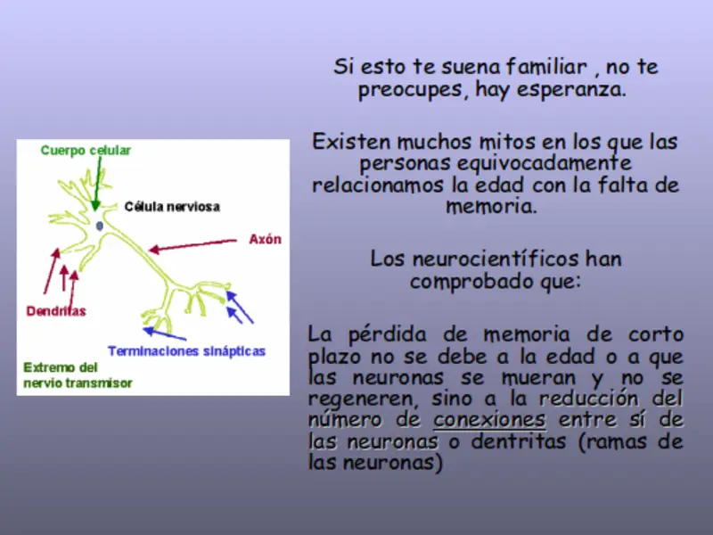 Pilates (contrología) para el cerebro (JD)