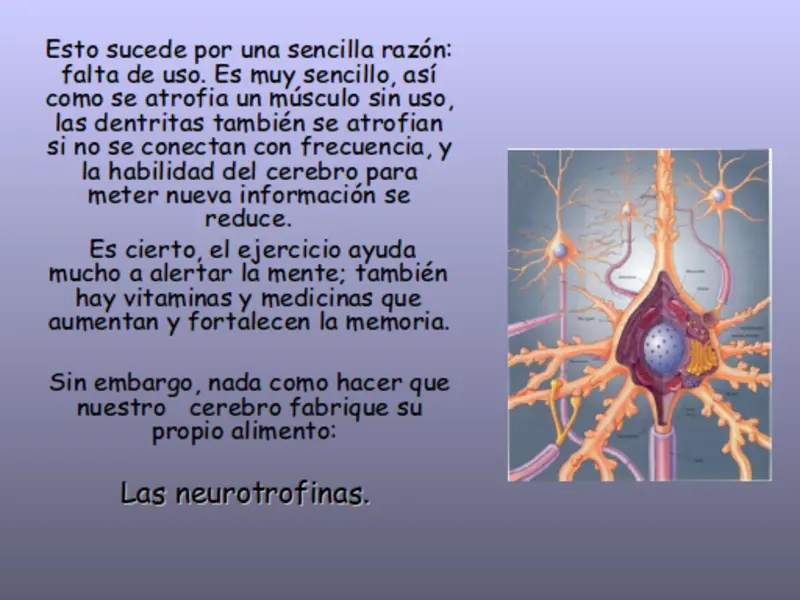 traumatologia
