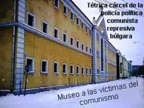 acesinos