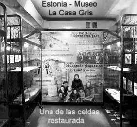 acesinos