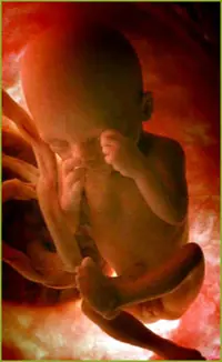 Humano