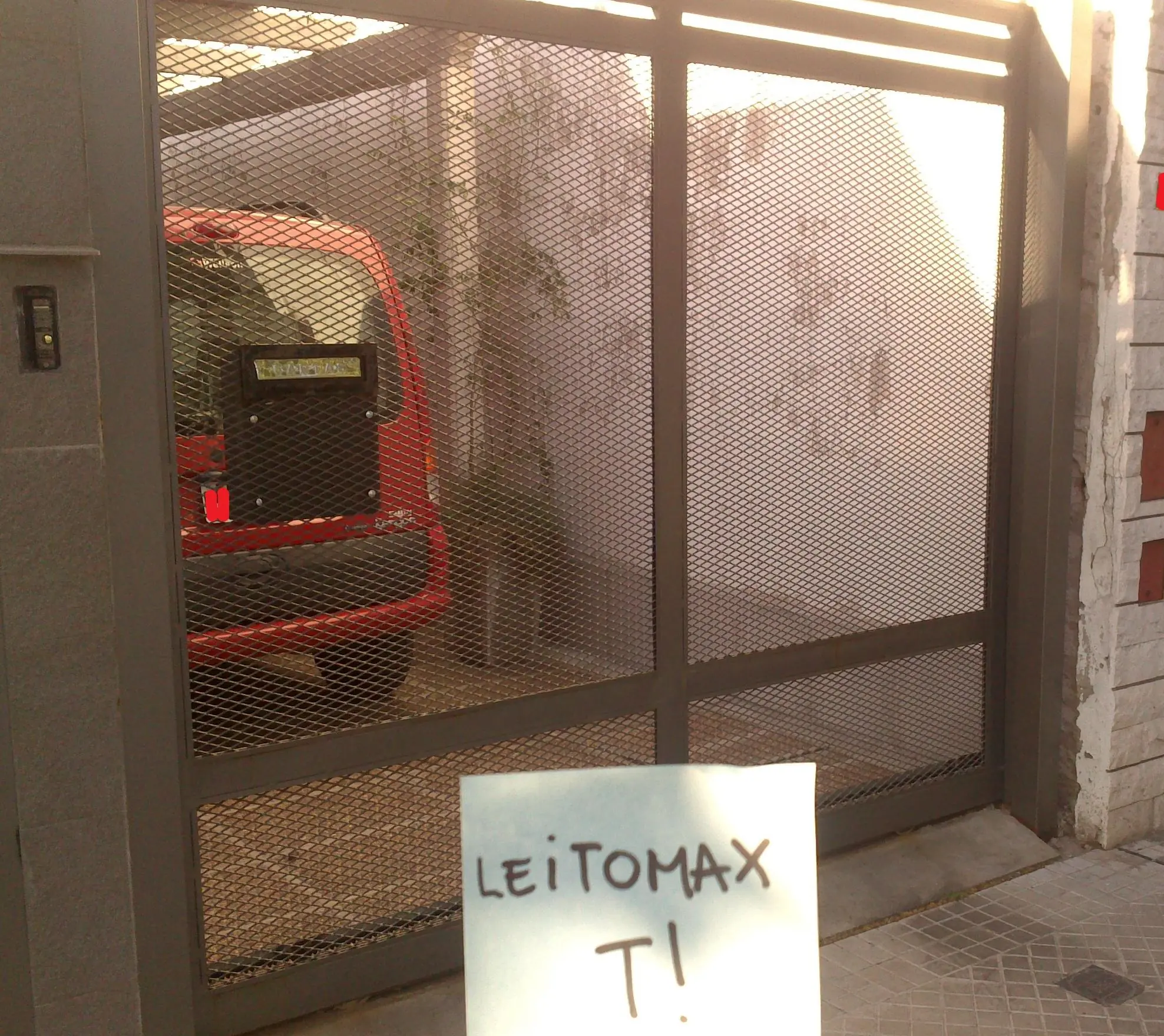 Mi perro salio en Google Street View!