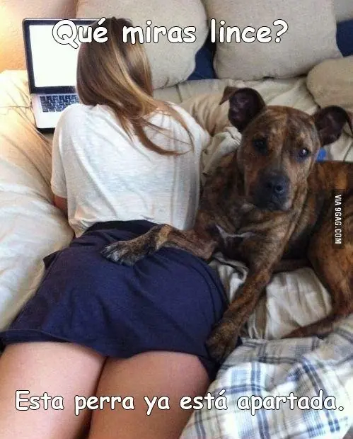 Buenísimas imagenes de humor.